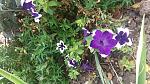     
: 20161004_121805.jpg
: 25
:	198.9 
ID:	11552780
