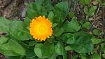     
: 20161004_121946.jpg
: 27
:	113.5 
ID:	11552781