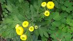     
: 20161004_121954.jpg
: 27
:	117.3 
ID:	11552782