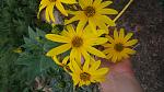     
: 20161004_122013.jpg
: 28
:	101.0 
ID:	11552783