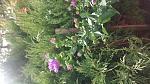     
: 20161004_122101.jpg
: 28
:	148.9 
ID:	11552784