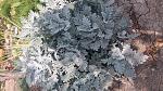     
: 20161004_121823.jpg
: 24
:	201.4 
ID:	11552785