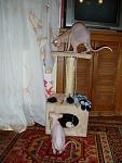     
: P1010350.jpg
: 25
:	101.8 
ID:	1155344