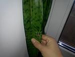     
: ZbEjpeBdPBQ.jpg
: 16
:	17.6 
ID:	11559192