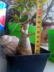     
: 3b3291bd94e6.jpg
: 12
:	26.4 
ID:	11559194