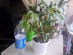     
: c5e56a35e7c4.jpg
: 14
:	29.2 
ID:	11559197