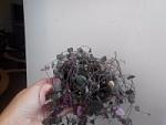     
: 5a8522c58214.jpg
: 13
:	9.4 
ID:	11559199