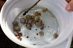     
: IMG_6303.jpg
: 1352
:	74.0 
ID:	1155928