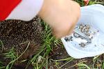     
: IMG_6304.jpg
: 478
:	131.4 
ID:	1155929