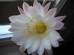     
: DSCN0794.jpg
: 16
:	61.8 
ID:	11560065