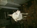    
: 20161008_185707.jpg
: 11
:	77.2 
ID:	11560376