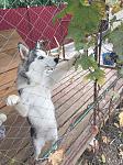     
: IMG_8478.jpg
: 17
:	135.6 
ID:	11561103