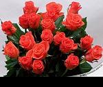     
: IMG_20160326_144910_0.jpg
: 23
:	52.1 
ID:	11561765