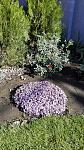     
: IMG_20161010_101421.jpg
: 12
:	216.7 
ID:	11564256