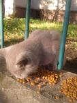     
: Gc8KsDKaS-M.jpg
: 17
:	72.6 
ID:	11564429