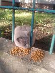     
: WHU7Td_z_QU.jpg
: 23
:	116.8 
ID:	11564430