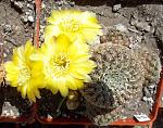     
: DSCN3856.jpg
: 13
:	221.5 
ID:	11565373