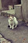     
: IMG_8412_ (1).jpg
: 28
:	101.9 
ID:	11569069