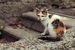     
: IMG_8413_ (1).jpg
: 24
:	128.8 
ID:	11569071