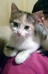     
: DSC_2069.jpg
: 30
:	53.6 
ID:	11571567