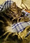     
: DSC_2071.jpg
: 26
:	120.0 
ID:	11571568