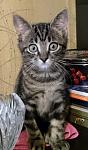     
: DSC_2055.jpg
: 33
:	75.9 
ID:	11571569
