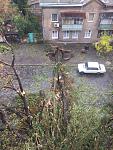     
: IMG-20161013-WA0003.jpg
: 117
:	189.8 
ID:	11573425