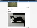     
: IMG_1764.jpg
: 10
:	48.3 
ID:	11575819