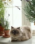     
: 886223-001.jpg
: 36
:	50.2 
ID:	115772