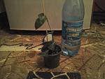     
: 1476470676710.jpg
: 15
:	141.2 
ID:	11577637