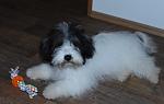     
: DSC_5489.jpg
: 12
:	121.5 
ID:	11578783