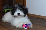     
: DSC_5511.jpg
: 15
:	160.6 
ID:	11578784