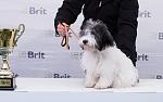     
: DSC_4700-1(1).jpg
: 13
:	161.3 
ID:	11578785