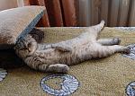     
: DSC_8673.jpg
: 30
:	213.2 
ID:	11579594