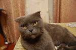     
: DSC_0158.jpg
: 32
:	88.6 
ID:	11579595