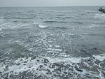     
: IMG_20161015_145101.jpg
: 24
:	190.0 
ID:	11579623