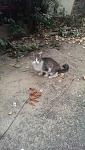     
: IMAG0033.jpg
: 15
:	121.6 
ID:	11579863