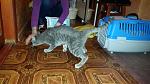     
: 20161016_180630.jpg
: 11
:	112.9 
ID:	11582802