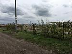     
: IMG_1096.jpg
: 44
:	125.0 
ID:	11585507