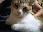     
: DSCN8128.jpg
: 32
:	79.6 
ID:	11586095