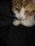     
: DSCN8143.jpg
: 31
:	99.5 
ID:	11586096