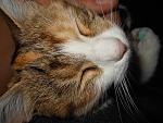     
: DSCN8134.jpg
: 30
:	205.9 
ID:	11586098
