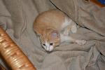     
: _DSC0020.jpg
: 22
:	113.2 
ID:	11590271