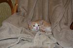     
: _DSC0017.jpg
: 12
:	95.0 
ID:	11590272