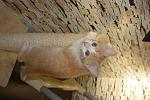     
: _DSC0007.jpg
: 18
:	108.4 
ID:	11590274