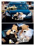     
: 04wNCyFVGlw.jpg
: 42
:	97.9 
ID:	11597605