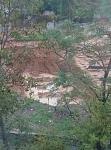     
: viber image.jpg
: 47
:	112.1 
ID:	11604523