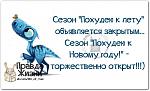     
:  .jpeg
: 14
:	48.6 
ID:	11606234
