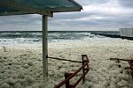     
: IMG_2663.jpg
: 38
:	137.6 
ID:	11606572