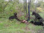     
: IMG_20161015_145953.jpg
: 70
:	303.3 
ID:	11607270